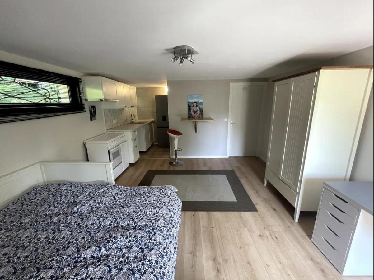 Quiet Studio In A House In Sevrier Annecy Lake Very Close To The Lake Kültér fotó